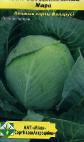 Photo Cabbage grade Mara (Mechta)