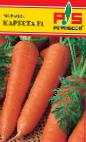 foto La carota la cultivar Karbeta F1
