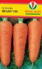 foto La carota la cultivar Shanson