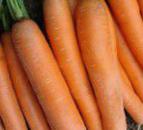 foto La carota la cultivar Maehstro F1