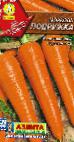 foto La carota la cultivar Podruzhka