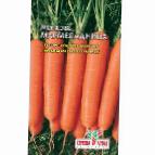 foto La carota la cultivar Marmeladnica