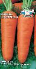 foto La carota la cultivar Shanteneh 5