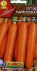 foto La carota la cultivar Karamelka