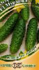 Photo Cucumbers grade Murashka F1