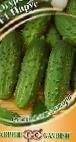 Photo Cucumbers grade Parus F1