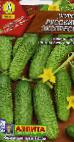 Photo Cucumbers grade Russkijj Ehkspress