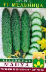 Photo Cucumbers grade Melnica F1