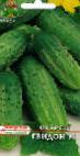 Photo Cucumbers grade Gvidon F1 