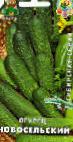 Photo Cucumbers grade Novoselskijj