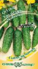 Photo Cucumbers grade Uralskijj raznosol