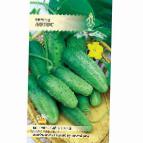 Photo Cucumbers grade Lotos