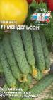 foto I cetrioli la cultivar Mendelson F1