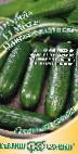 Photo Cucumbers grade Mese Olive salatnyjj F1