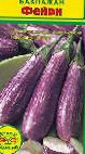 Photo Eggplant grade Fejjri 