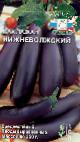 foto Le melanzane la cultivar Nizhnevolzhskijj