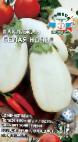 Photo Eggplant grade Belaya Noch