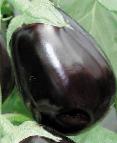 Photo Eggplant grade Klorinda F1 