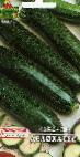 foto Le zucchine la cultivar Delikates