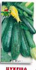 foto Le zucchine la cultivar Cukesha