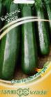 foto Le zucchine la cultivar Mavr