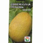 Foto Melone klasse Serjozhkina lyubov