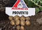 Foto Kartoffeln klasse Provento 