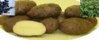foto La patata la cultivar Vasilek
