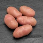 Photo Potatoes grade Red Skarlett.
