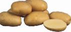 foto La patata la cultivar Sante