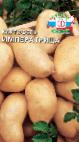 foto La patata la cultivar Imperatrica