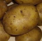 Photo Potatoes grade Krepysh