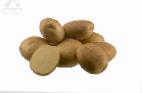 Foto Kartoffeln klasse Fresko