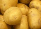Foto Kartoffeln klasse Agriya