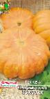 Photo Pumpkin grade Parizhskaya zolotaya 