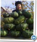 Photo Pumpkin grade Morskoe chudovishhe - Marina iz Kiodzha