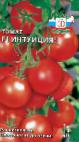 Photo Tomatoes grade Intuiciya F1