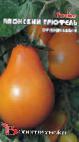 Photo Tomatoes grade Yaponskijj tryufel oranzhevyjj