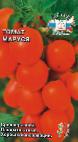 foto I pomodori la cultivar Marusya