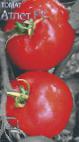 Photo Tomatoes grade Atlet F1 (selekciya Myazinojj L.A.)