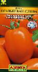 Photo Tomatoes grade Oranzhevaya sliva