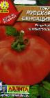 Photo Tomatoes grade Russkaya Sensaciya