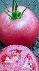 Photo Tomatoes grade Pink Unikum F1
