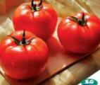 foto I pomodori la cultivar Carin F1