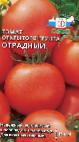 Photo Tomatoes grade Otradnyjj