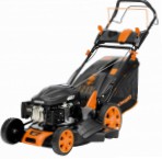 self-propelled lawn mower Daewoo Power Products DLM 5000 SV Photo and description