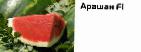 Photo Watermelon grade Arashan F1 (Singenta)