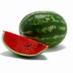 Foto Wassermelone klasse Odissejj F1