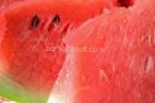 Photo Watermelon grade Pamyat Kholodova (belyjj)