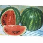 Photo Watermelon grade Shironinskijj